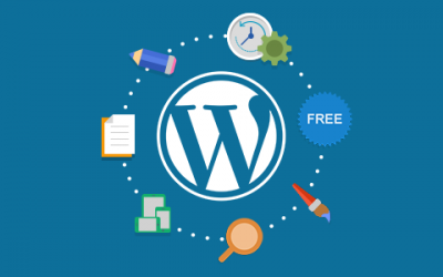 WordPress Kutu Abonelik Sistemi